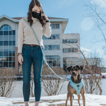Hands Free Rope Leash - Azul