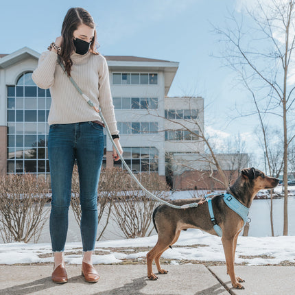 Hands Free Rope Leash - Azul