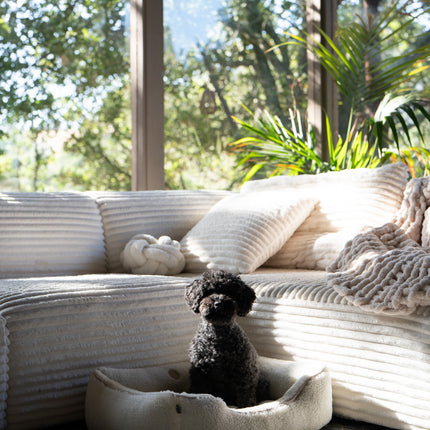 Chester & Lee | Furry Sleeper Dog Bed Gray