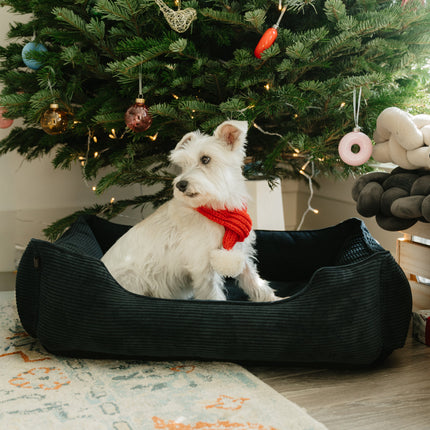 Chester & Lee | Fancy Corduroy Sleeper Dog Bed Graphite