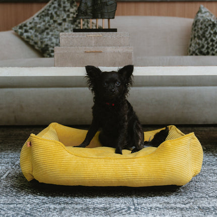 Chester & Lee | Fancy Corduroy Sleeper Dog Bed Sunny Yellow