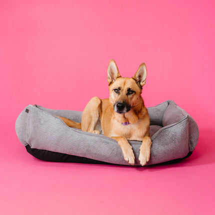 Chester & Lee | Fancy Corduroy Sleeper Dog Bed Gray