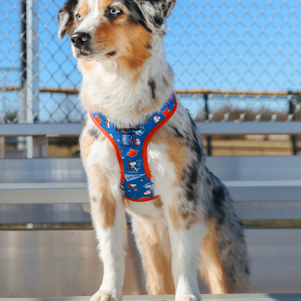 Dog Adjustable Harness - MLB™ x Peanuts™ Toronto Blue Jays™