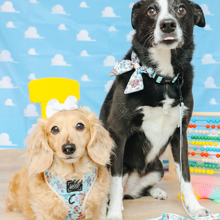 Dog Adjustable Harness - Disney and Pixar's Toy Story