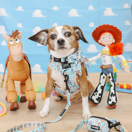 Dog Adjustable Harness - Disney and Pixar's Toy Story