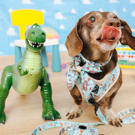 Dog Collar - Disney and Pixar's Toy Story