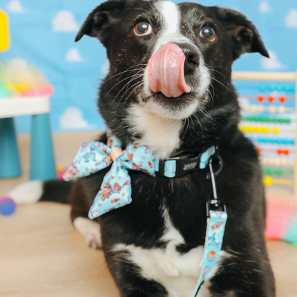 Dog Collar - Disney and Pixar's Toy Story