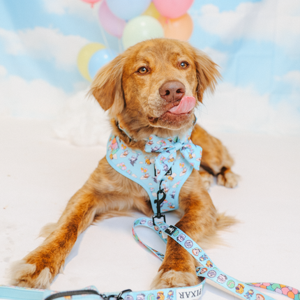 Dog Adjustable Harness - Disney and Pixar's Up