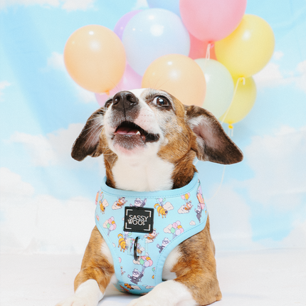 Dog Adjustable Harness - Disney and Pixar's Up