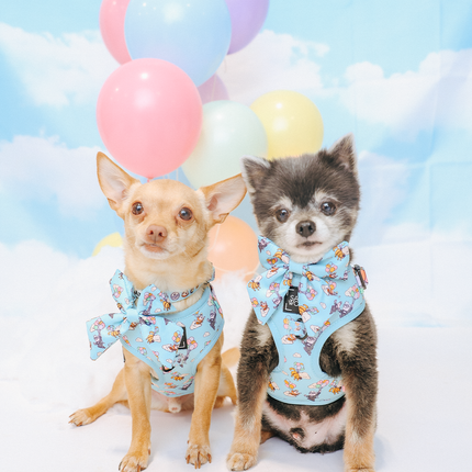 Dog Adjustable Harness - Disney and Pixar's Up