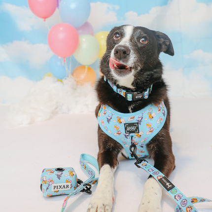 Dog Adjustable Harness - Disney and Pixar's Up