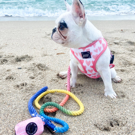 Dog Rope Leash - Sprinkles