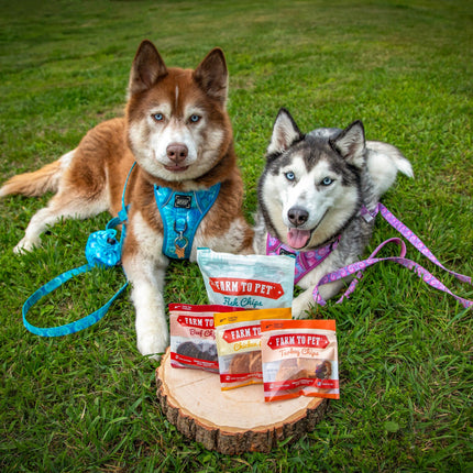 Puppy Packs 'n Snacks Dog Treat Starter Pack | Single-Ingredient Training Treats