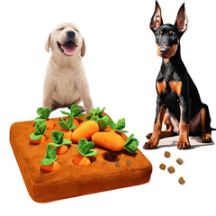 Collection image for: Enrichment & Toys