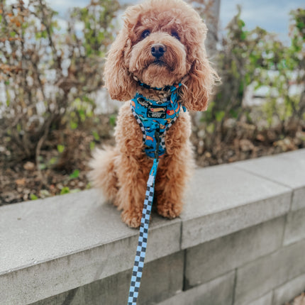 Dog Collar - Hot Wheels™