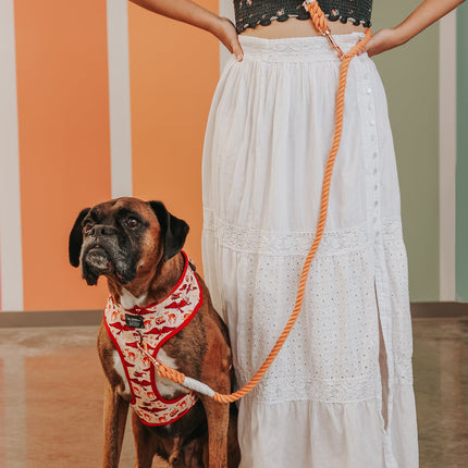 Hands Free Rope Leash - Clementine
