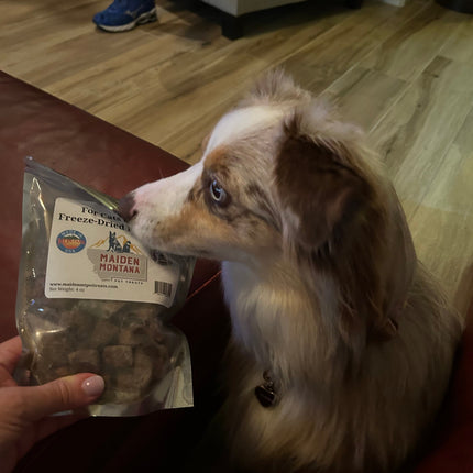 Freeze Dried Beef Liver Treats | 4oz.
