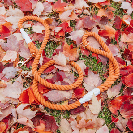 Dog Rope Leash - Clementine
