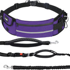 Purple / 1 Dog