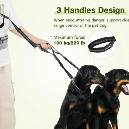 Hands Free Dog Leash Dual Bungee Adjustable Waist Belt Running Walking