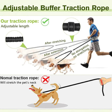 Hands Free Dog Leash Dual Bungee Adjustable Waist Belt Running Walking