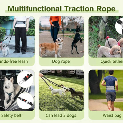 Hands Free Dog Leash Dual Bungee Adjustable Waist Belt Running Walking