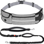Grey / 1 Dog