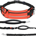 Orange / 1 Dog