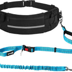 Black + Blue 2.0 / 1 Dog