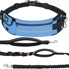 Blue / 1 Dog