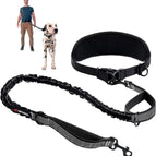 One - Large Dog (45-125 Pounds)