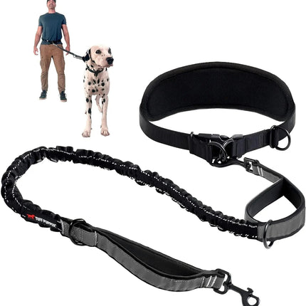 Hands Free Dog Leash Heavy Duty Bungee Waist Belt Reflective Training