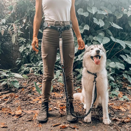 Hands Free Dog Leash Heavy Duty Bungee Waist Belt Reflective Training