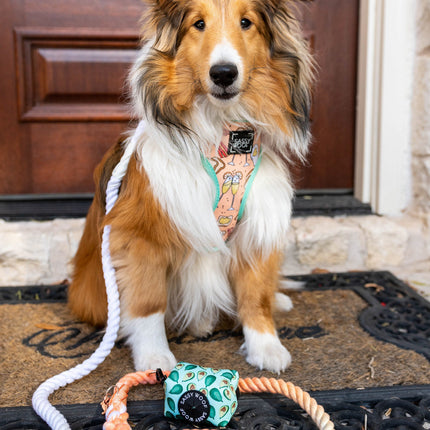Dog Rope Leash - Honeydew