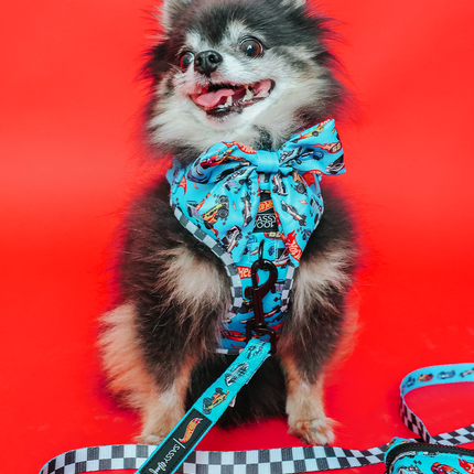 Dog Collar - Hot Wheels™