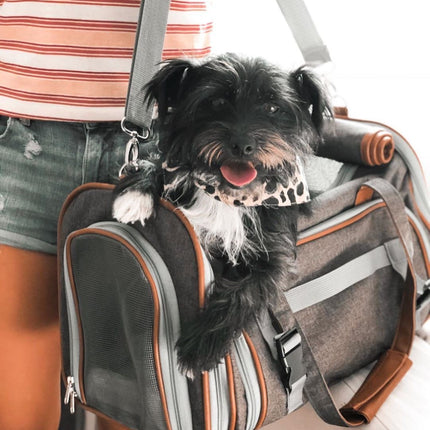 Mr. Peanut's Gold Series Big Apple XL Expandable Pet Carrier V2.0
