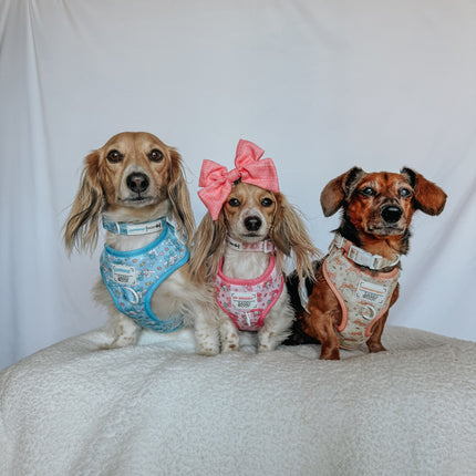 Dog Adjustable Harness - My Melody™
