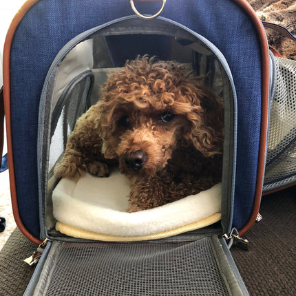 Mr. Peanut's Gold Series Big Apple XL Expandable Pet Carrier V2.0