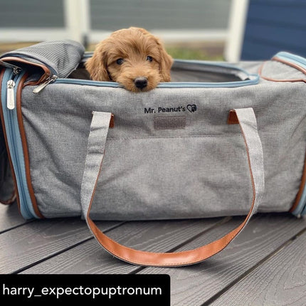 Mr. Peanut's Gold Series Big Apple XL Expandable Pet Carrier V2.0