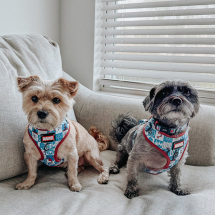 Dog Collar - Marvel’s Spider-Man