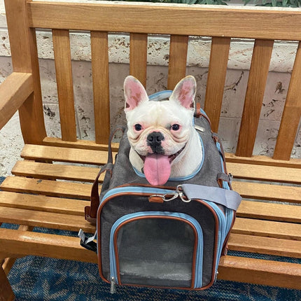 Mr. Peanut's Gold Series Big Apple XL Expandable Pet Carrier V2.0