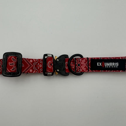 Cobra Buckle Dog Collar