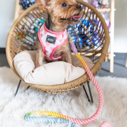 Dog Rope Leash - Fiesta