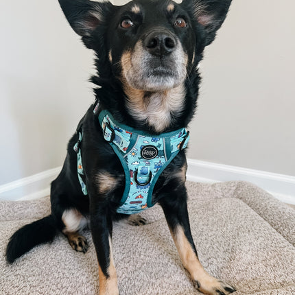 Dog Step-in Harness - Disney's Winnie the Pooh