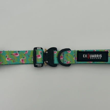 Cobra Buckle Dog Collar