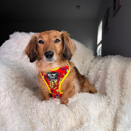 Dog Adjustable Harness - Wonder Woman™