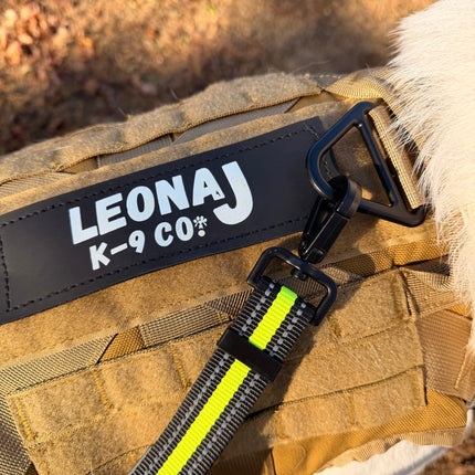 Hands-Free Running/Hiking Bungee Leash