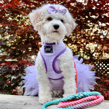 Dog Rope Leash - Unicorn