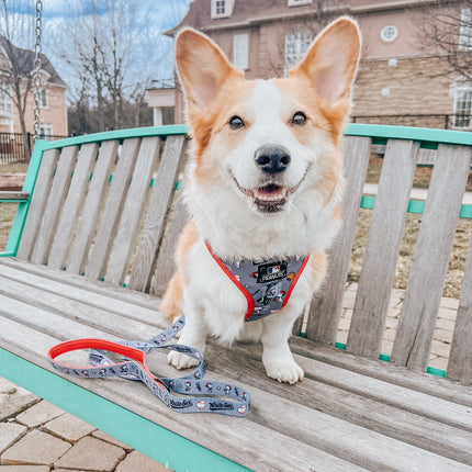 Dog Adjustable Harness - MLB™ x Peanuts™ Chicago White Sox™