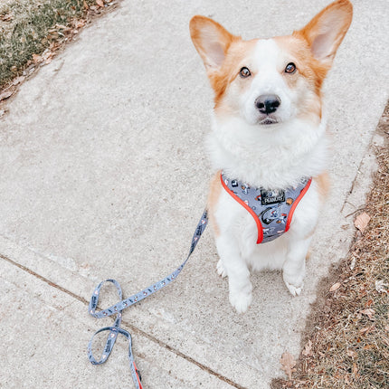 Dog Adjustable Harness - MLB™ x Peanuts™ Chicago White Sox™